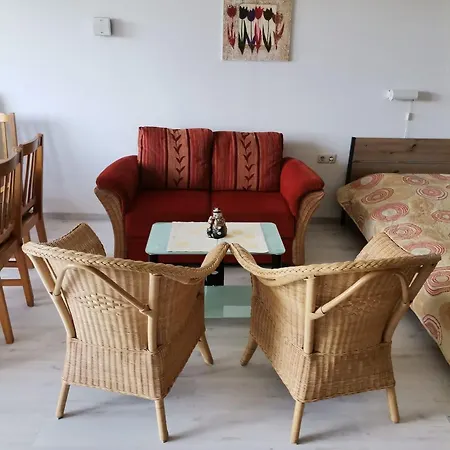 Rolligerechtes Mit Terrasse Und Garten